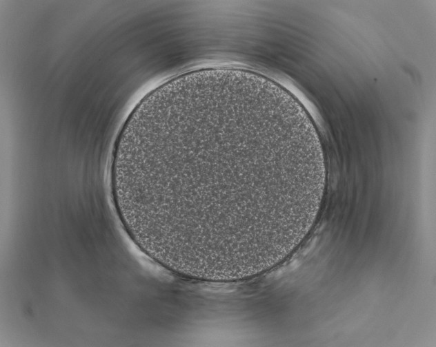 X0000111460861200908241318