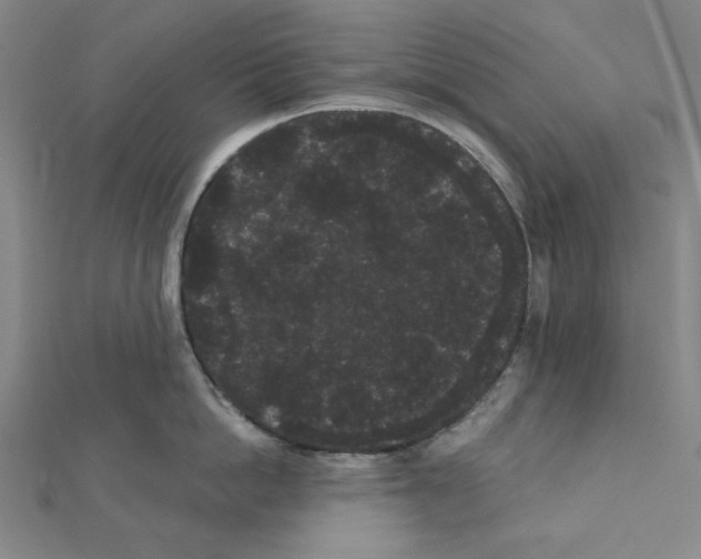 X0000111460862200908241318