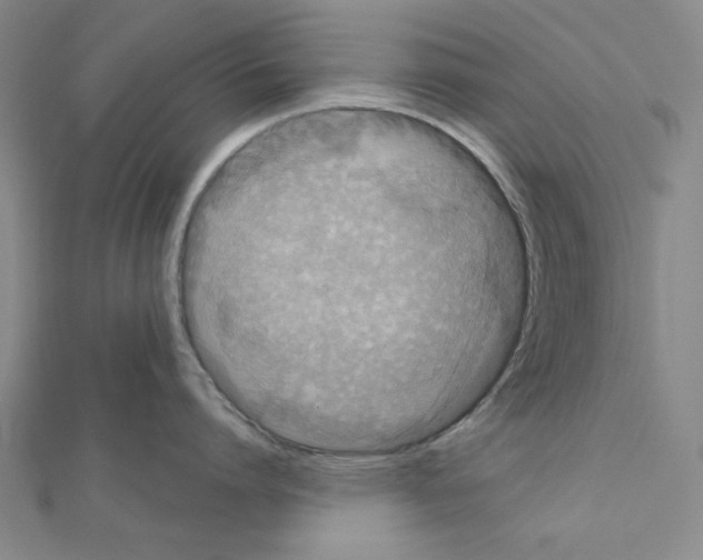 X0000111460864200908241318