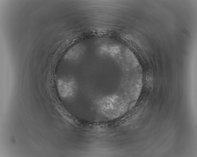 X0000111460865200908241317