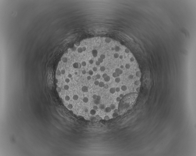 X0000111460866200908241317