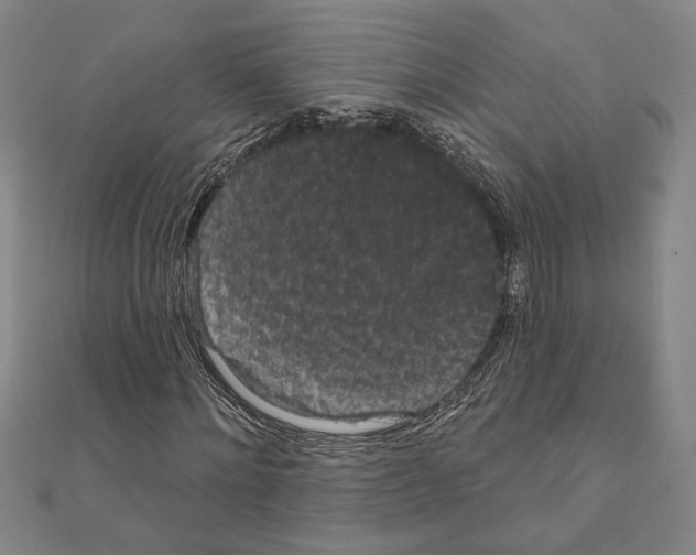 X0000111460868200908241317
