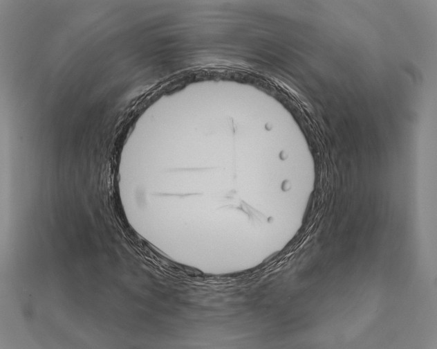 X0000111460869200908241317