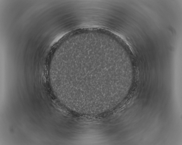 X0000111460871200908241317