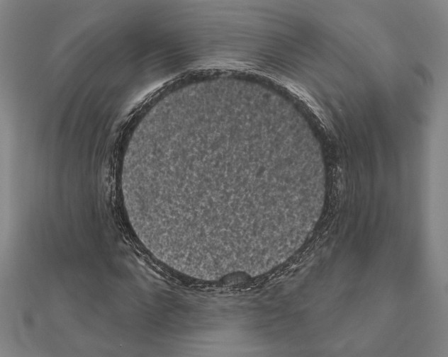 X0000111460872200908241317