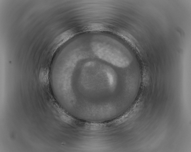 X0000111460873200908241317