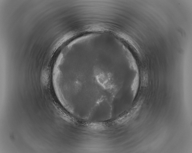 X0000111460874200908241317