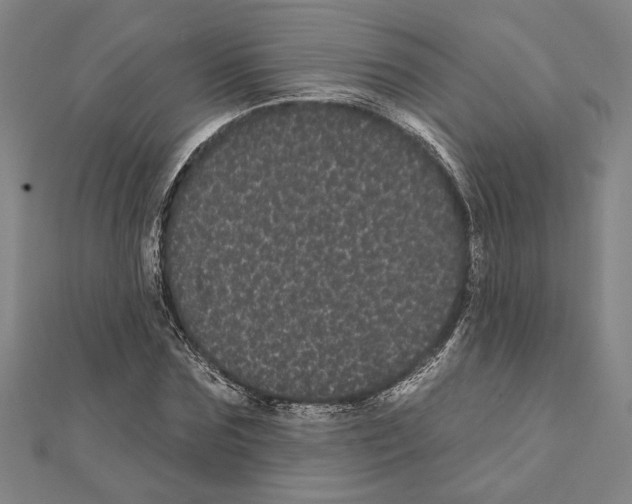 X0000111460875200908241317