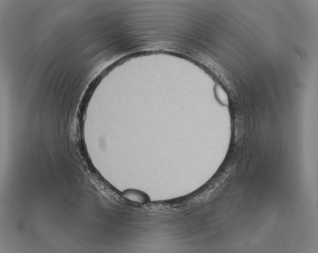 X0000111460876200908241317