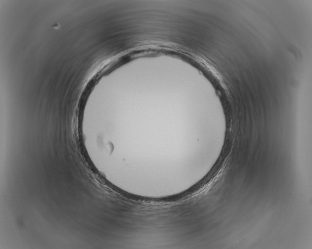 X0000111460877200908241317
