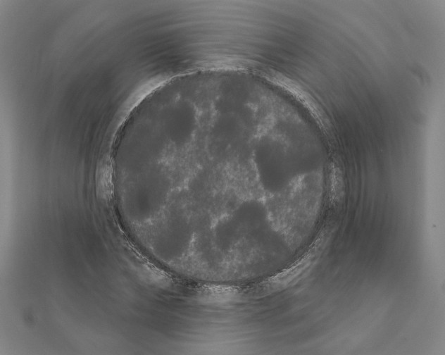 X0000111460878200908241317