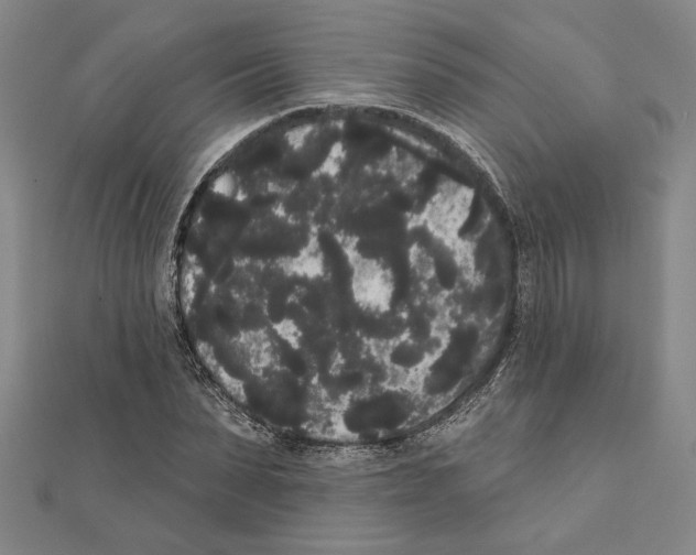 X0000111460879200908241317