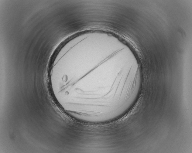 X0000111460880200908241317