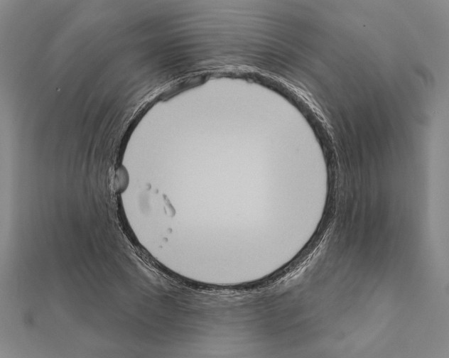 X0000111460881200908241317