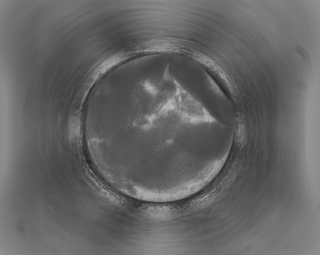 X0000111460882200908241317
