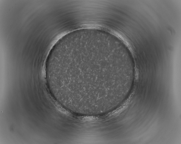 X0000111460883200908241317