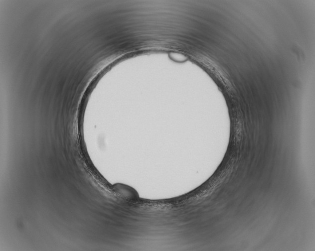 X0000111460884200908241317