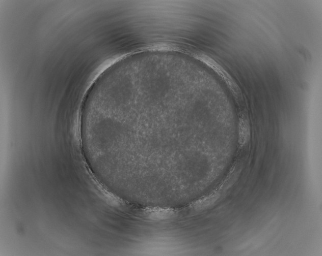 X0000111460886200908241317