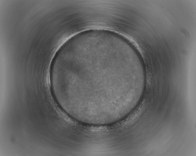 X0000111460887200908241317