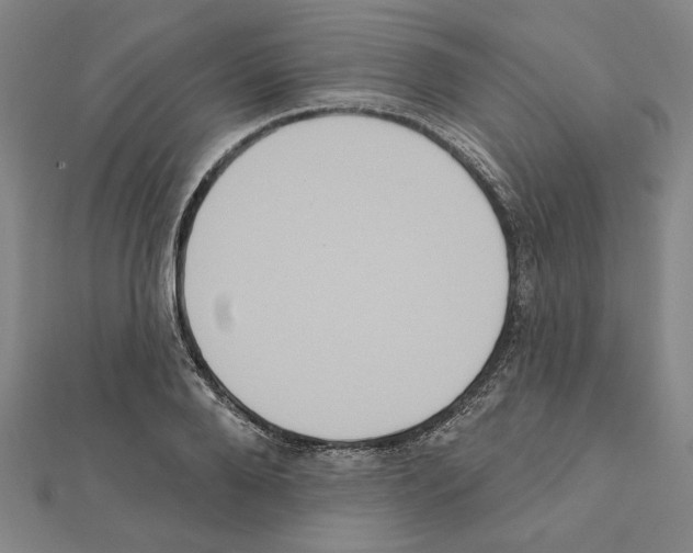 X0000111460888200908241317