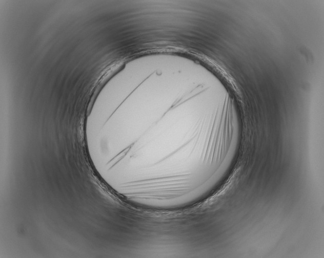 X0000111460889200908241317