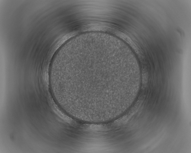 X0000111460890200908241317