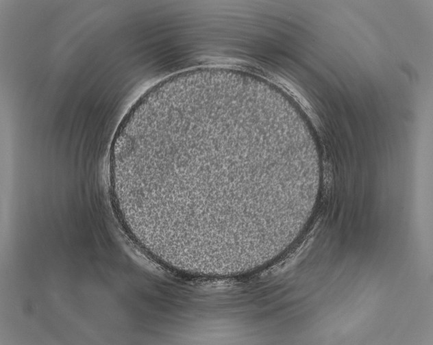 X0000111460891200908241317