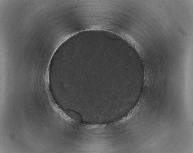 X0000111460892200908241317