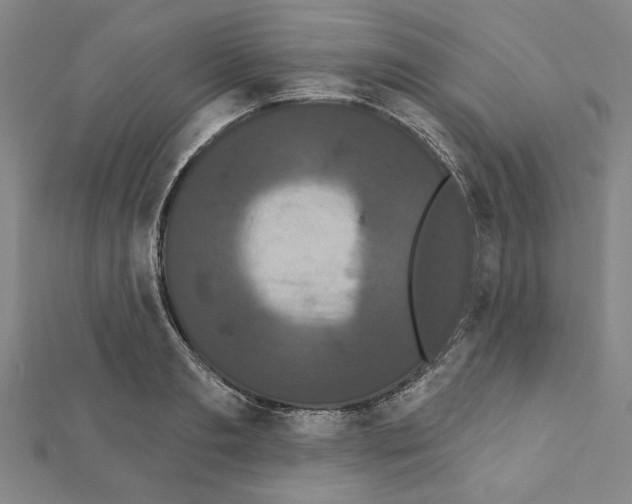 X0000111460893200908241317