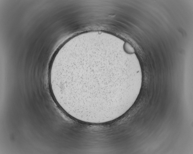 X0000111460894200908241317