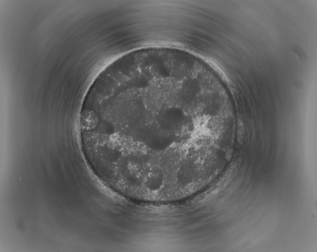 X0000111460895200908241317