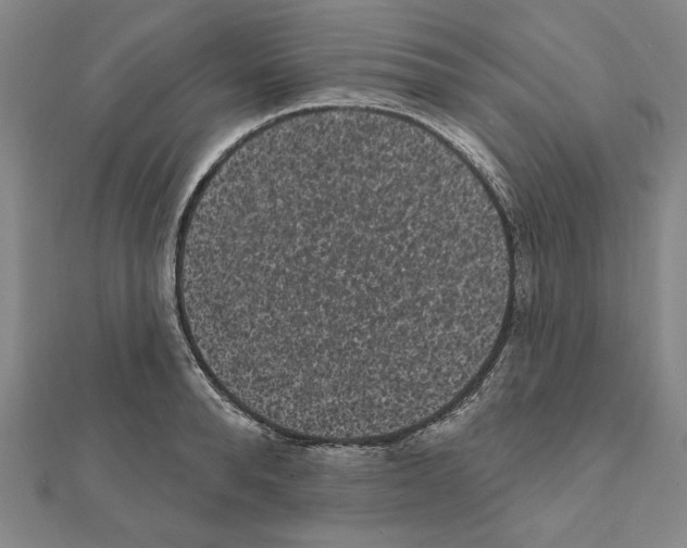 X0000111460896200908241317
