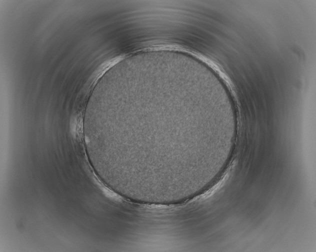 X0000111460897200908241317