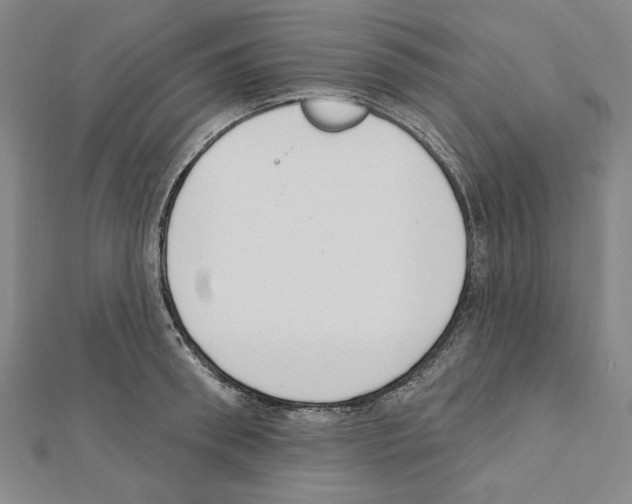 X0000111460898200908241317