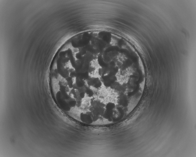 X0000111460899200908241317
