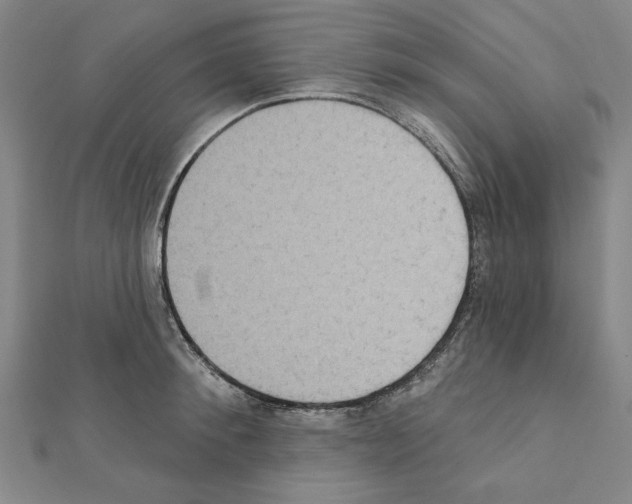 X0000111460900200908241317