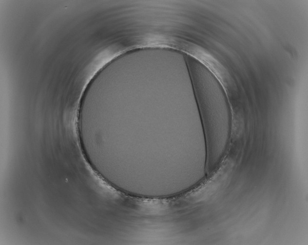 X0000111460901200908241317