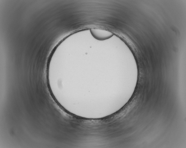 X0000111460902200908241317