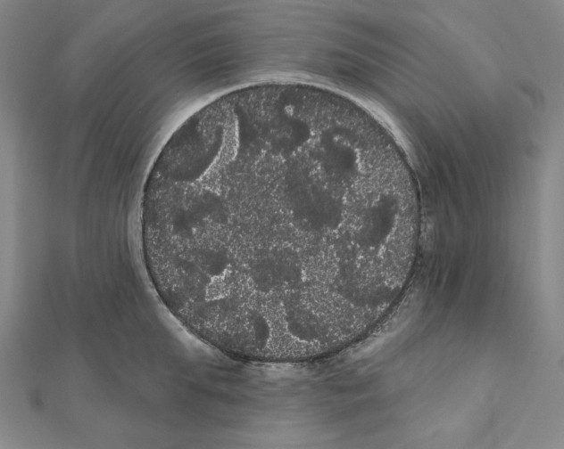 X0000111460903200908241317