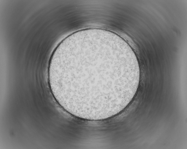 X0000111460904200908241317