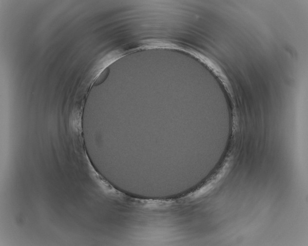 X0000111460905200908241317