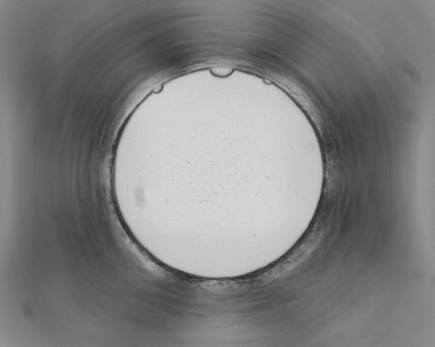X0000111460906200908241317