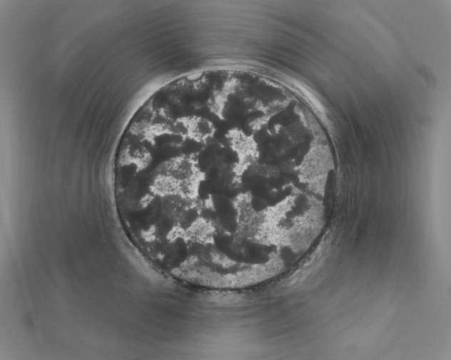 X0000111460907200908241317