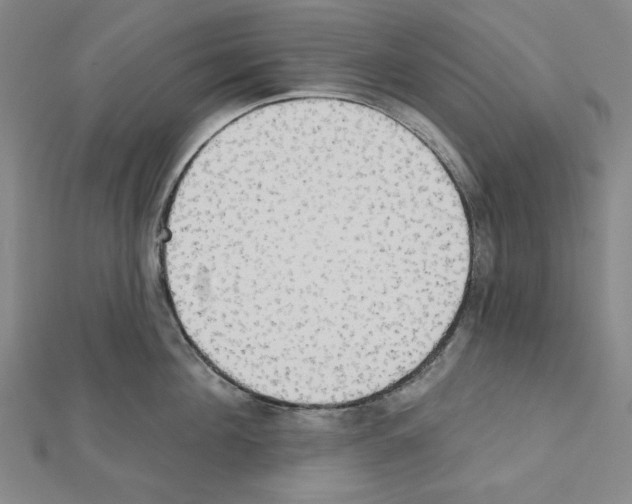 X0000111460908200908241317