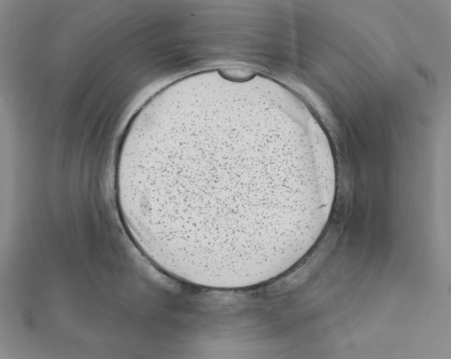 X0000111460910200908241317