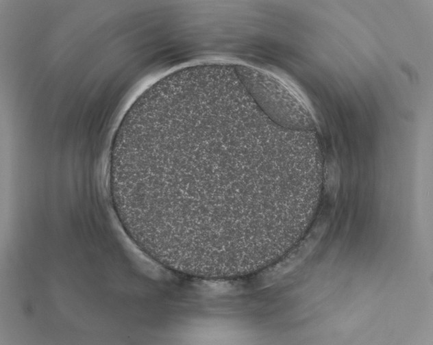 X0000111460911200908241317
