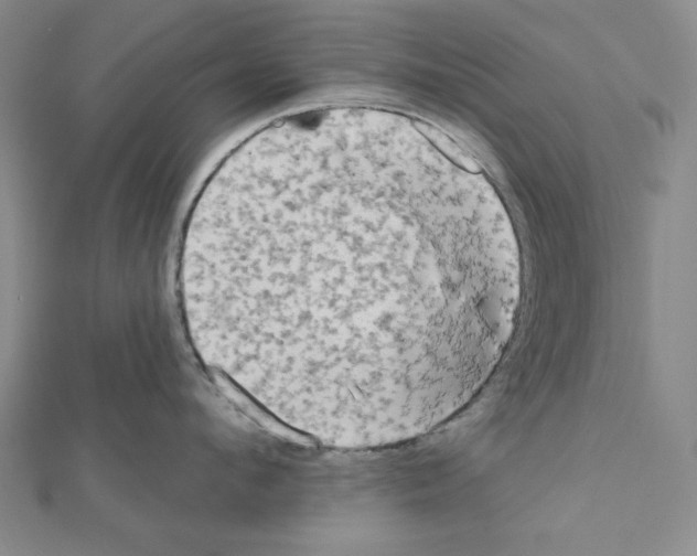 X0000111460912200908241317