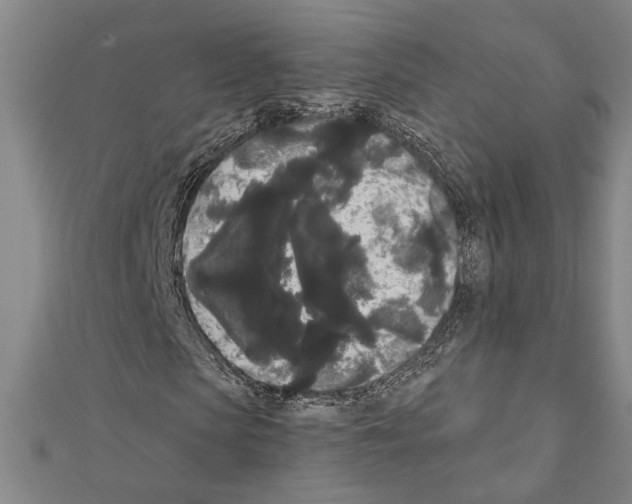 X0000111460913200908241316