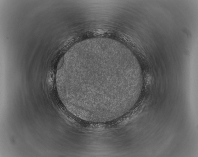 X0000111460914200908241316