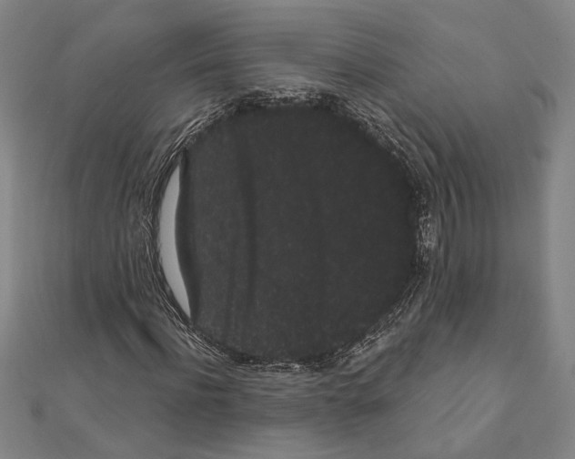 X0000111460916200908241316